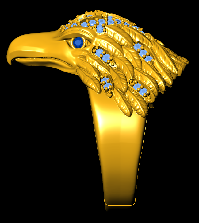 The Eagle's Vision Ring