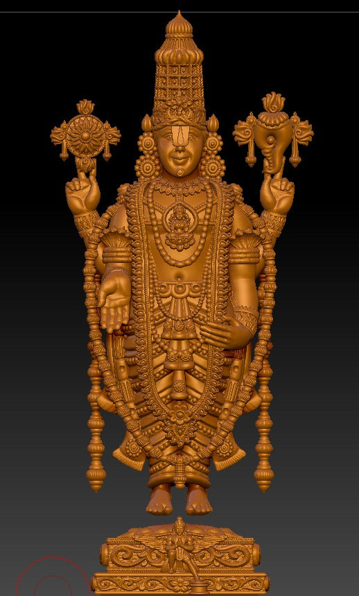 Srinivasa Devotion Statue