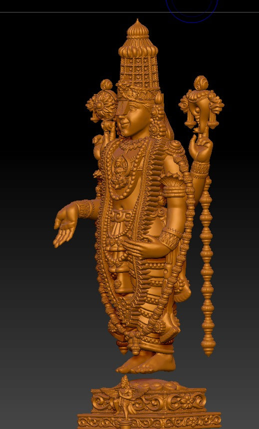 Srinivasa Devotion Statue